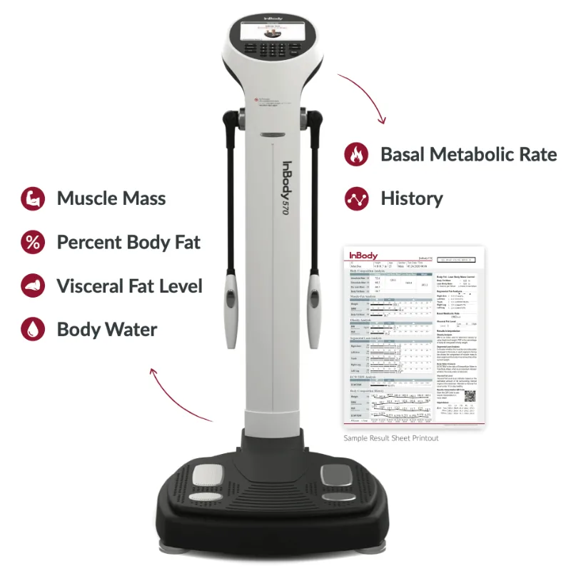 InBody 570 body composition scan used at Function Fitness DTLA to track weight loss, lean mass and overall health for personal training clients in Downtown Los Angeles